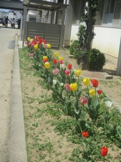 s-IMG_0052