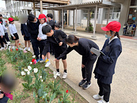 IMG_2025-04-15-175939