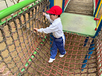 IMG_2025-04-15-180005