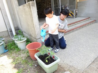 s-DSC02134