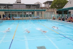 ３年生の水泳記録会の写真