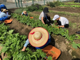 屋外作業班