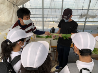 見学の様子