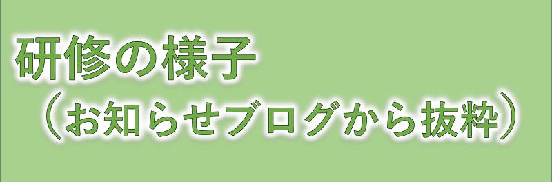 研修の様子