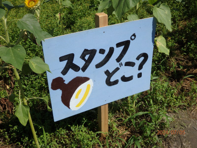 P7050319
