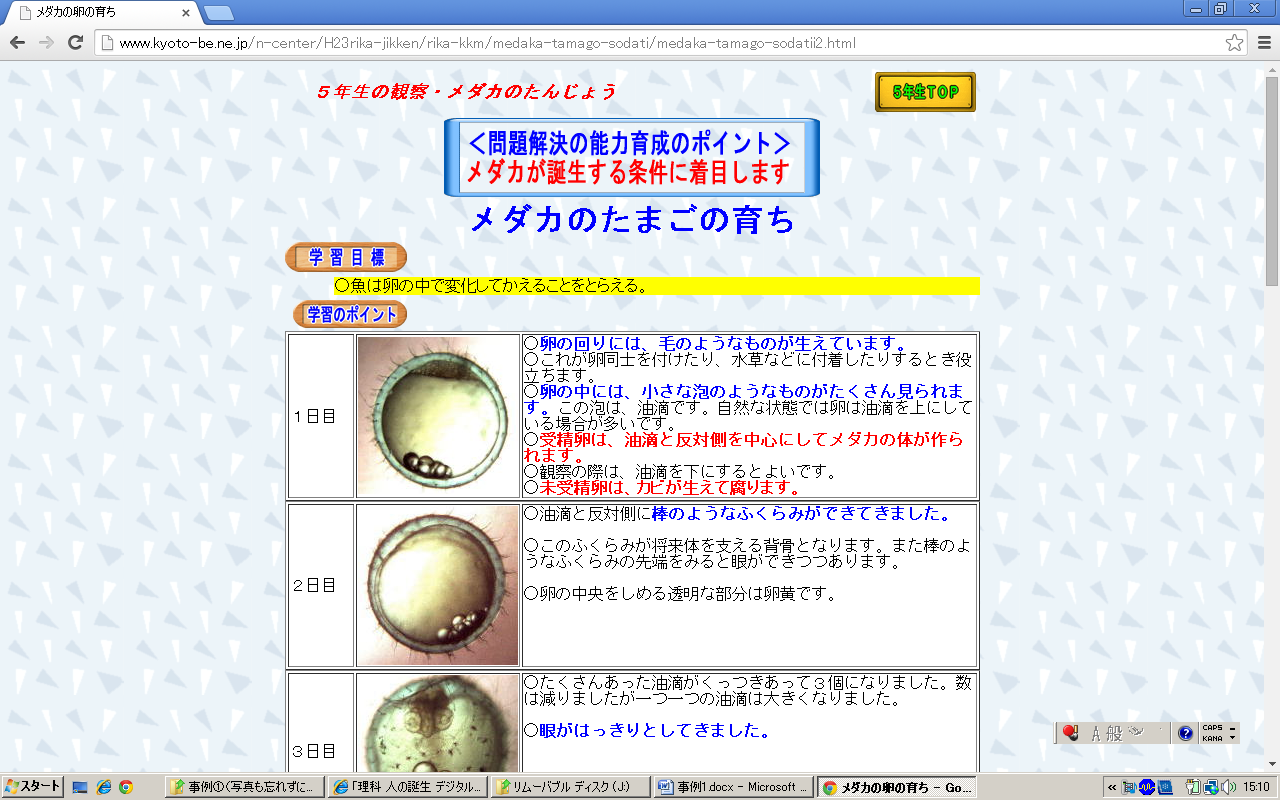 よくわかる！メダカの受精卵の成長