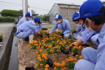 真清水市場 香川県立石田高等学校 真清水市場 香川県立石田高等学校