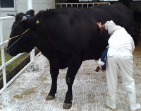 WIN_20251105_07_58_52_Pro