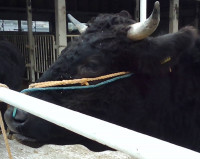 WIN_20251105_08_05_03_Pro