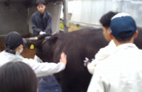 WIN_20251105_08_13_06_Pro