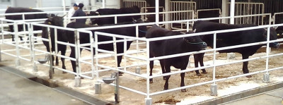 WIN_20251105_08_15_47_Pro