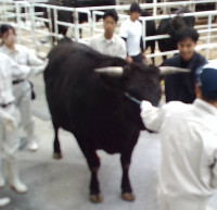 WIN_20251105_08_16_25_Pro