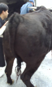 WIN_20251105_08_16_47_Pro