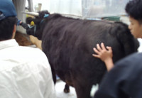 WIN_20251105_08_16_59_Pro