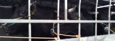 WIN_20251105_08_20_04_Pro