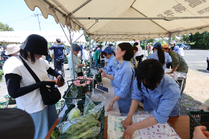 ６月　真清水市場