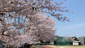IMG_0613-cleaned