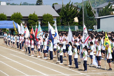26005072.jpg