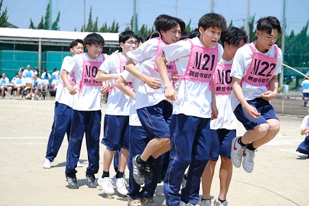 26005075.jpg
