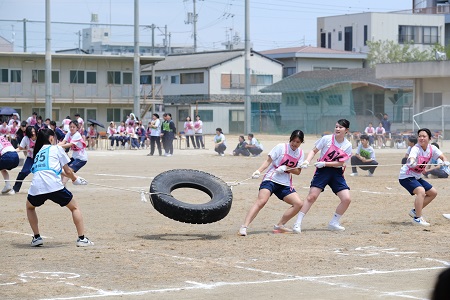 26005078.jpg