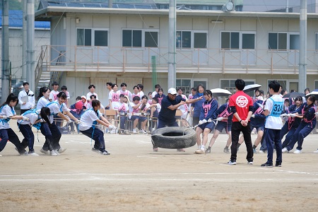 26005079.jpg