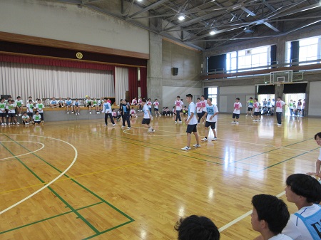 2607095.jpg