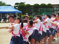 体育祭10.jpg