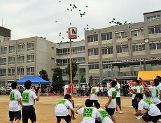 体育祭3.jpg