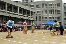 体育祭4.jpg