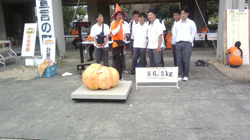 WIN_20250914_10_35_04_Pro