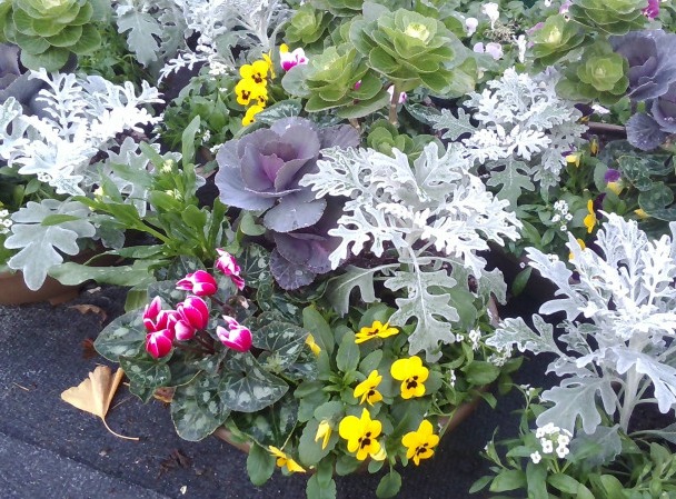 WIN_20251104_16_33_00_Pro