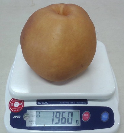 WIN_20251112_15_36_20_Pro