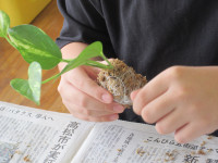 つくる４