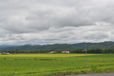 DSC_1692