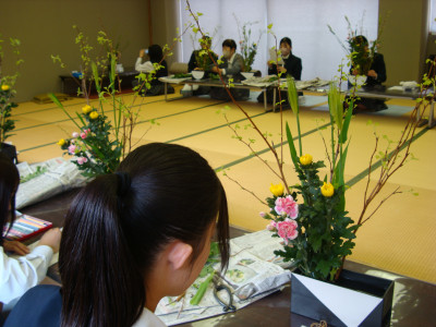 DSC07084