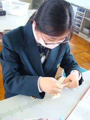 DSC07193