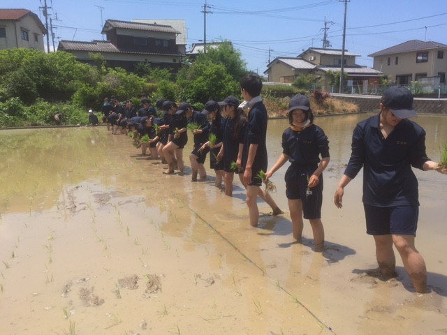 image12-cleaned