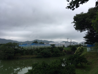 image14