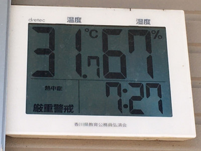 image12