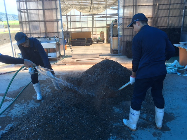 image15-cleaned-1