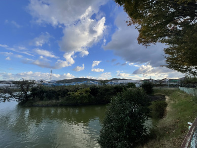 IMG_9100