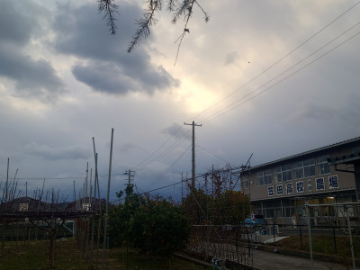 20241228_080214
