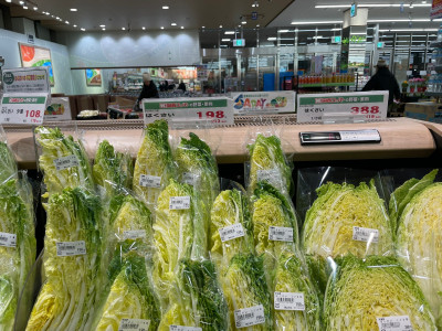 49F05D40-D5AB-4A78-967A-7E195183196B
