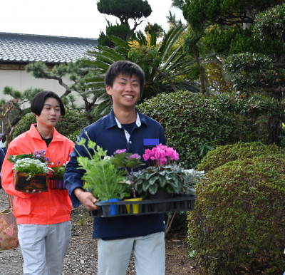 草花