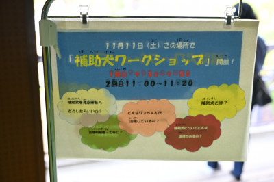 補助犬案内