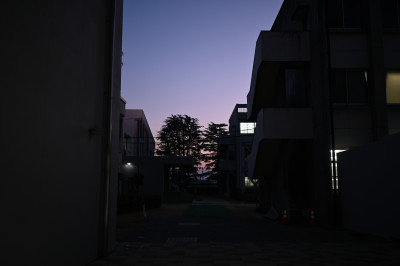 DSC_7949