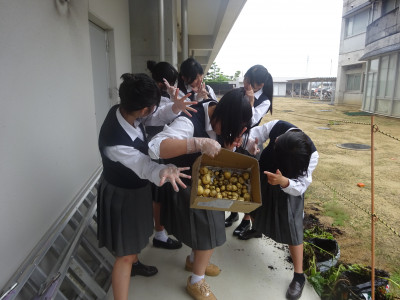 DSC08281