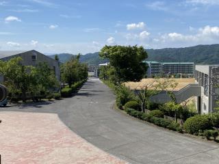 W320Q75_IMG_3039