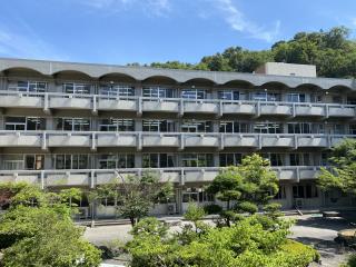 W320Q75_IMG_3040