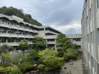 W320Q75_IMG_3113